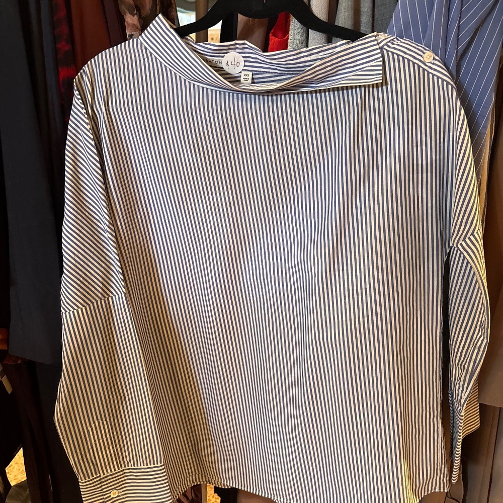 Aritzia Babaton blue striped dress shirt